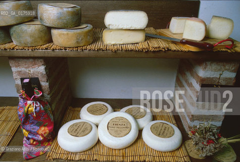 TOSCANA , PIENZA : FORMAGGIO , GASTRONOMIA  - © 2002 Graziano Arici/Rosebud2 / GEO