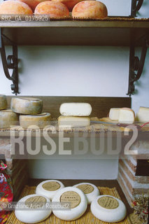 TOSCANA , PIENZA : FORMAGGIO , GASTRONOMIA  - © 2002 Graziano Arici/Rosebud2 / GEO
