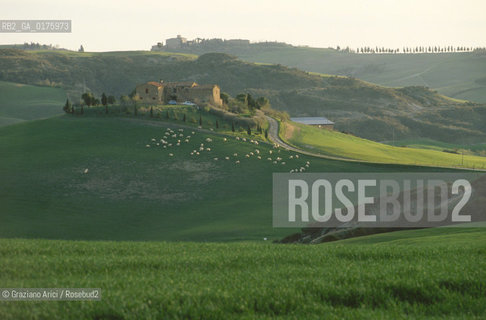 TOSCANA , CAMPAGNA TOSCANA - © 2002 Graziano Arici/Rosebud2 / GEO