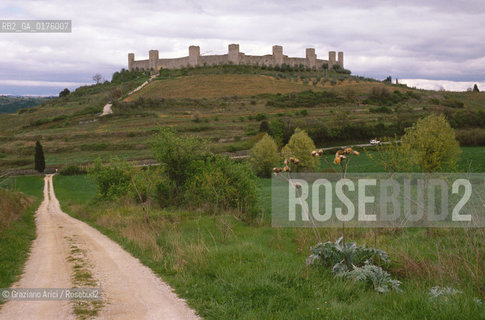 TOSCANA , (SIENA) MONTERIGGIONI  - © 2002 Graziano Arici/Rosebud2 / GEO