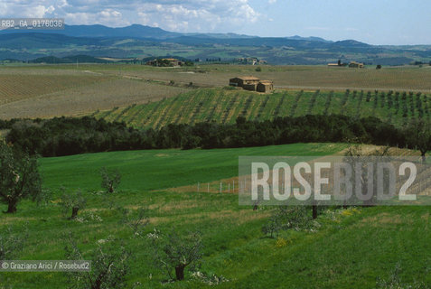 TOSCANA , CAMPAGNA TOSCANA - © 2002 Graziano Arici/Rosebud2 / GEO