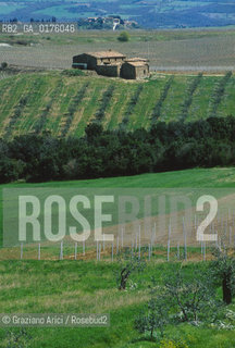 TOSCANA , CAMPAGNA TOSCANA - © 2002 Graziano Arici/Rosebud2 / GEO