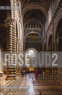 TOSCANA , SIENA : IL DUOMO    - © 2002 Graziano Arici/Rosebud2 / GEO / ARCHITETTURA / GOTICO