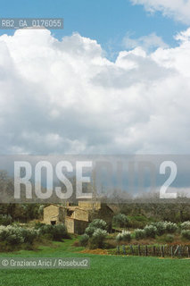TOSCANA , CAMPAGNA TOSCANA - © 2002 Graziano Arici/Rosebud2 / GEO