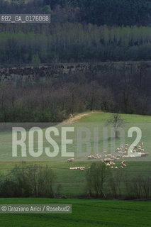 TOSCANA , CAMPAGNA TOSCANA - © 2002 Graziano Arici/Rosebud2 / GEO /