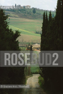 TOSCANA , CAMPAGNA TOSCANA - © 2002 Graziano Arici/Rosebud2 / GEO