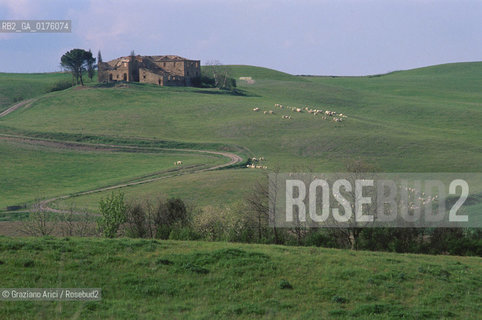 TOSCANA , CAMPAGNA TOSCANA - © 2002 Graziano Arici/Rosebud2 / GEO /