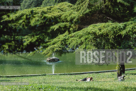 LAZIO, ROMA : PARCO DI VILLA BORGHESE   - © 1995 Graziano Arici/Rosebud2 / GEO / GIARDINI