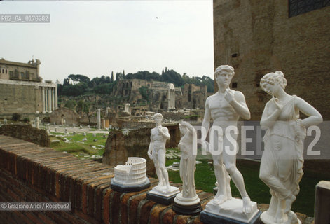LAZIO, ROMA :  FORO ROMANO   - © 1995 Graziano Arici/Rosebud2 / GEO / ARCHEO /