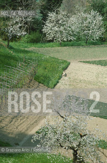 LOMBARDIA, BERGAMO : CAMPI    - © 2002 Graziano Arici/Rosebud2 / GEO / CAMPAGNA
