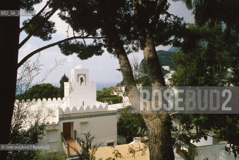 CAMPANIA  (NAPOLI) CAPRI : PANORAMA   - © 2002 Graziano Arici/Rosebud2 / GEO