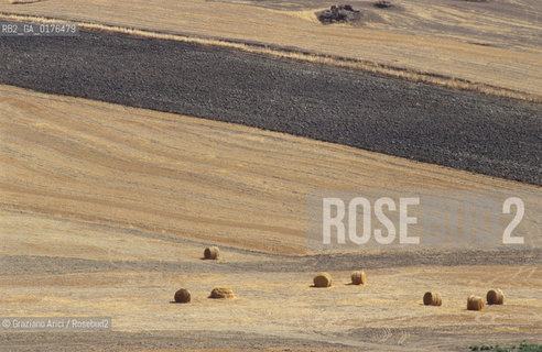 BASILICATA,  CAMPAGNA   - © 2002 Graziano Arici/Rosebud2 / GEO /