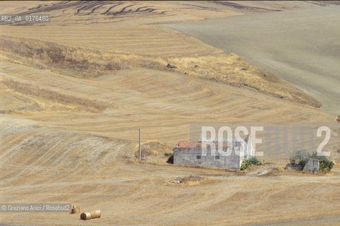 BASILICATA,  CAMPAGNA   - © 2002 Graziano Arici/Rosebud2 / GEO /