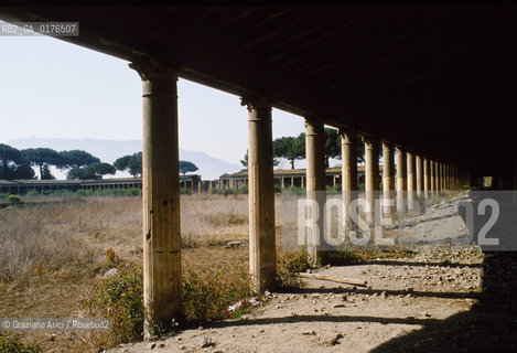 CAMPANIA,  (NAPOLI)  POMPEI : ROVINE DELLA CITTA - GRANDE PALESTRA   - © 2002 Graziano Arici/Rosebud2 / GEO /