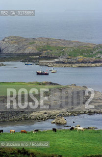 IRLANDA (MUNSTER) PENISOLA DI BEARA : PANORAMA    - ©Graziano Arici/Rosebud2 / GEO