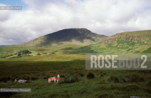 IRLANDA (MUNSTER-KERRY) KILLARNEY NATIONAL PARK : PANORAMA  - ©Graziano Arici/Rosebud2 / GEO