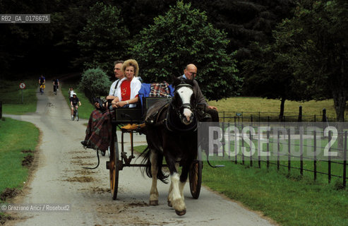 IRLANDA (MUNSTER-KERRY) KILLARNEY NATIONAL PARK : ROSS CASTLE  - ©Graziano Arici/Rosebud2 / GEO