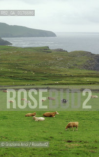 IRLANDA (MUNSTER-KERRY) LA COSTA DAVANTI VALENTIA ISLAND  - ©Graziano Arici/Rosebud2 / GEO