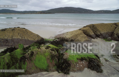 IRLANDA (MUNSTER-KERRY) LAMBS HEAD  - ©Graziano Arici/Rosebud2 / GEO / SPIAGGIA