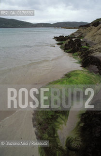 IRLANDA (MUNSTER-KERRY) LAMBS HEAD  - ©Graziano Arici/Rosebud2 / GEO / SPIAGGIA