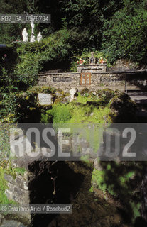 IRLANDA (SLIGO) LA TERRA DI W.B.YEATS : TOBERNALT (BOSCO SACRO)   - © 2002 Graziano Arici/Rosebud2 / GEO / LETTERATURA / POESIA.