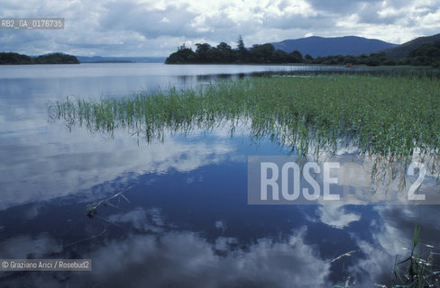 IRLANDA (SLIGO) LA TERRA DI W.B.YEATS : LOUGH GILL   - © 2002 Graziano Arici/Rosebud2 / GEO / LETTERATURA / POESIA / LAGO