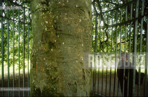 IRLANDA (CONNACHT) GALWAY - GORT  : COOLE PARK - PARCO SITUATO NEL POSTO DOVE SORGEVA LA CASA DI LADY GREGORY AMICA DI YEATS - ALBERO DEGLI AUTOGRAFI  - © 2002 Graziano Arici/Rosebud2 / GEO / TORRE / LETTERATURA / POESIA