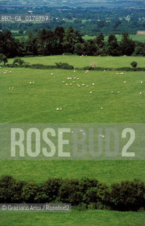 IRLANDA (MUNSTER) TIPPERARY - CASHEL : PANORAMA DAL ST.PATRICKS ROCK   - © 2002 Graziano Arici/Rosebud2 / GEO /