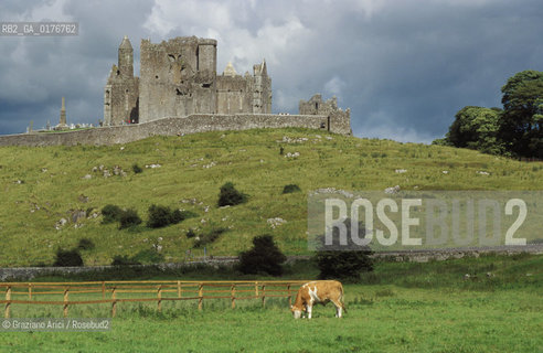 IRLANDA (MUNSTER) TIPPERARY - CASHEL : ST.PATRICKS ROCK   - © 2002 Graziano Arici/Rosebud2 / GEO /