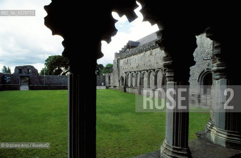 IRLANDA (MUNSTER) TIPPERARY : HOLY CROSS ABBEY   - © 2002 Graziano Arici/Rosebud2 / GEO