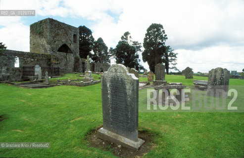 IRLANDA (MUNSTER) TIPPERARY : HOLY CROSS ABBEY   - © 2002 Graziano Arici/Rosebud2 / GEO