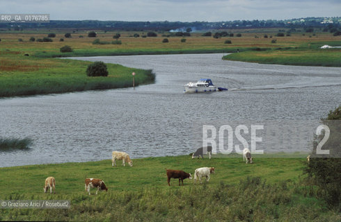 IRLANDA (LEINSTER) ATHLONE : LO SHANNON A CLONMACNOISE     - © 2002 Graziano Arici/Rosebud2 / GEO