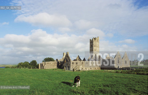 IRLANDA (MAYO) MOYNE ABBEY  - © 2002 Graziano Arici/Rosebud2 / GEO / CHIESA
