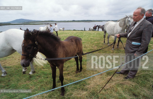 IRLANDA (CONNEMARA) GLINSEE : FIERA DI CAVALLI  - © 2002 Graziano Arici/Rosebud2 / GEO