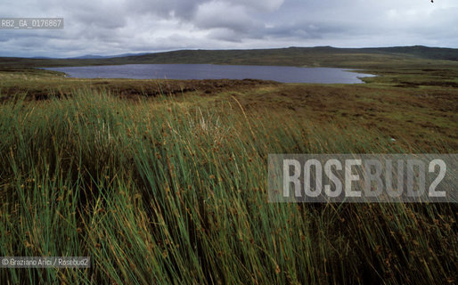 IRLANDA (DONEGAL) PENISOLA DI INISHOWEN : PANORAMA   - © 2002 Graziano Arici/Rosebud2 / GEO