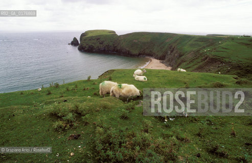 IRLANDA (DONEGAL) PENISOLA DI INISHOWEN : PANORAMA DELLA COSTA   - © 2002 Graziano Arici/Rosebud2 / GEO