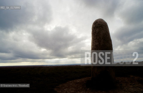 IRLANDA (LEINSTER) SITO DI TARA : LIA FAILL (PIETRA DEL DESTINO)   - © 2002 Graziano Arici/Rosebud2 / GEO / MONUMENTO MEGALITICO