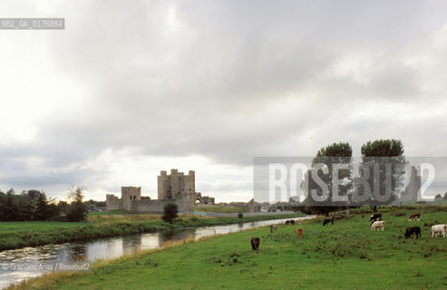 IRLANDA (LEINSTER) VALLE DELLA BOYNE : CASTELLO DI TRIM    - © 2002 Graziano Arici/Rosebud2 / GEO