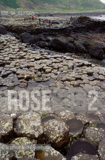 GRAN BRETAGNA (ULSTER)  CAUSEWAY HEAD : GIANTS CAUSEWAY    - © 2002 Graziano Arici/Rosebud2 / GEO