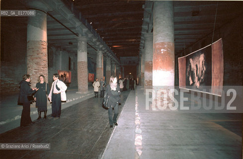 VENEZIA 6/4/02 - ARSENALE DI VENEZIA : Mostra Ashes and Snow. - ©Graziano Arici/Rosebud2