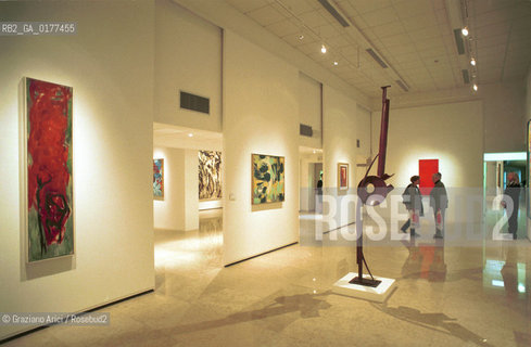 VENEZIA-MESTRE 21/3/02 - CENTRO CULTURALE CANDIANI -  MOSTRA LAMERICA DI POLLOCK - @ Graziano Arici/Rosebud2