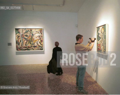 VENEZIA 21/3/02 - MUSEO CORRER -  MOSTRA LAMERICA DI POLLOCK/ JACKSON POLLOCK A VENEZIA - @ Graziano Arici/Rosebud2
