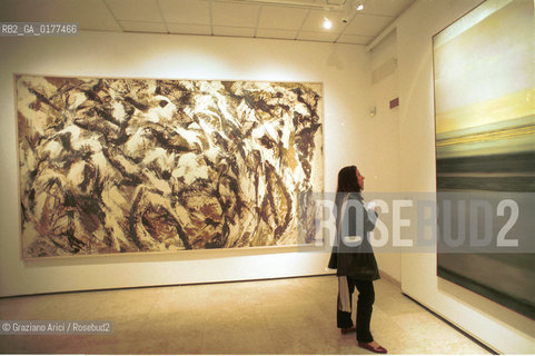VENEZIA-MESTRE 21/3/02 - CENTRO CULTURALE CANDIANI -  MOSTRA LAMERICA DI POLLOCK - @ Graziano Arici/Rosebud2