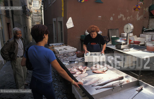 PORTOGALLO, LISBONA : PESCHERIA NEL QUARTIERE DI ALFAMA    @ 2002 Graziano Arici/Rosebud2  / GEO