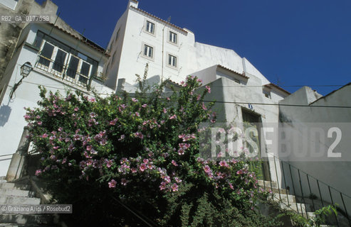 PORTOGALLO, LISBONA : IL QUARTIERE DI ALFAMA    @ 2002 Graziano Arici/Rosebud2 / GEO