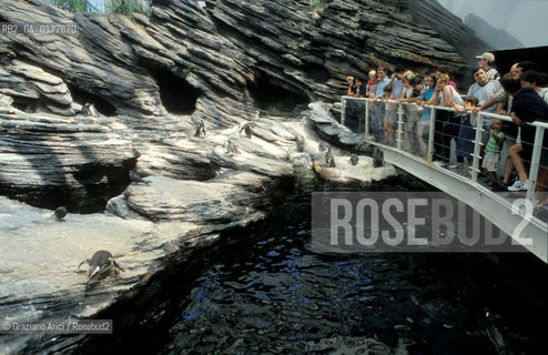 PORTOGALLO, LISBONA : EXPO 98 - ACQUARIO   @ 2002 Graziano Arici/Rosebud2  / GEO