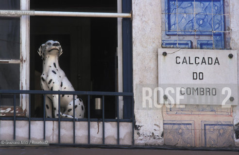 PORTOGALLO, LISBONA : CASA DEL BARRIO ALTO    @ 2002 Graziano Arici/Rosebud2  / GEO