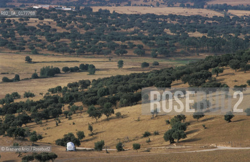 PORTOGALLO, (ALENTEJO) CAMPAGNA     @ 2002 Graziano Arici/Rosebud2  / GEO