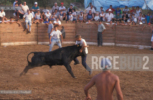PORTOGALLO, (ALENTEJO) CORRIDA DI VILLAGGIO     @ 2002 Graziano Arici/Rosebud2  / GEO