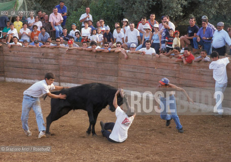 PORTOGALLO, (ALENTEJO) CORRIDA DI VILLAGGIO     @ 2002 Graziano Arici/Rosebud2  / GEO